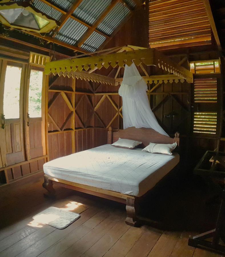 Happy Ria Homestay & Guesthouse Bukit Lawang Esterno foto