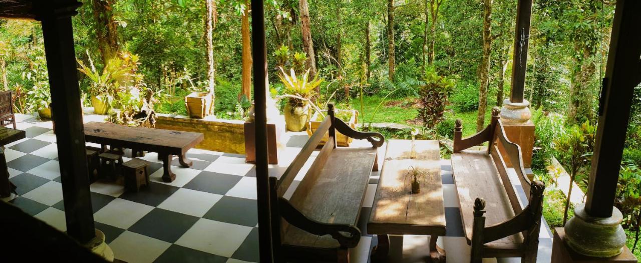 Happy Ria Homestay & Guesthouse Bukit Lawang Esterno foto