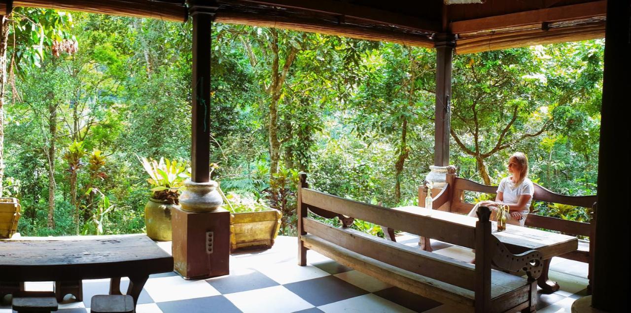 Happy Ria Homestay & Guesthouse Bukit Lawang Esterno foto