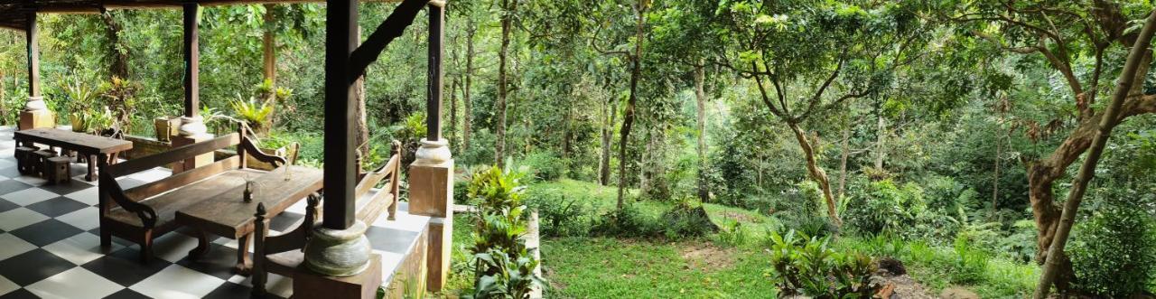 Happy Ria Homestay & Guesthouse Bukit Lawang Esterno foto