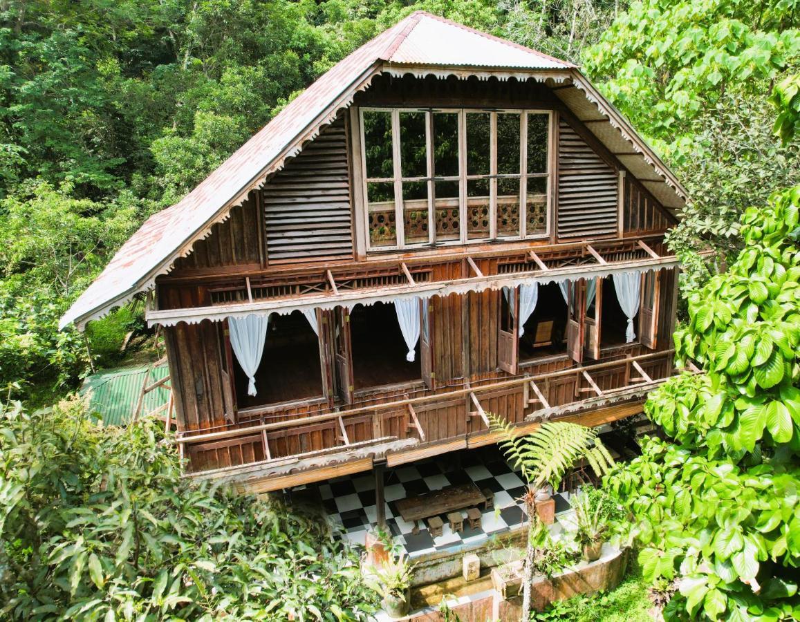 Happy Ria Homestay & Guesthouse Bukit Lawang Esterno foto
