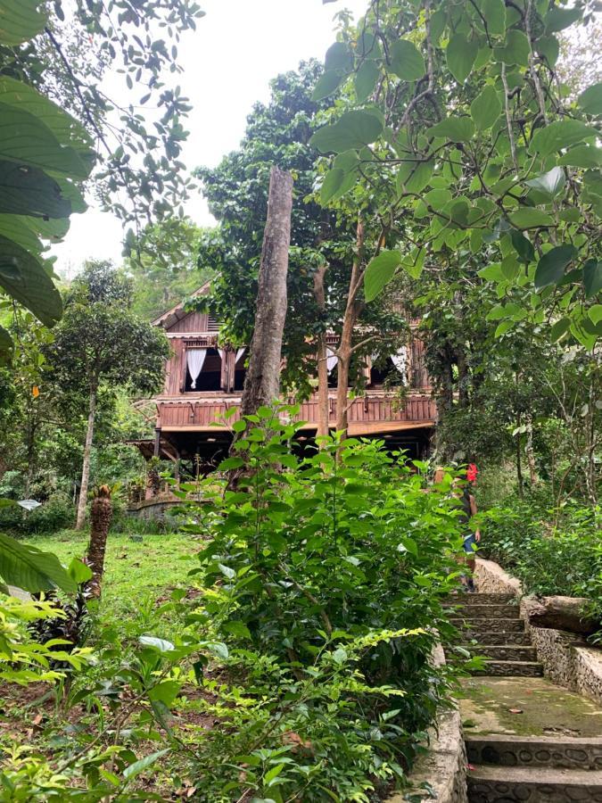 Happy Ria Homestay & Guesthouse Bukit Lawang Esterno foto